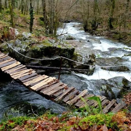 別荘 La Casa Del Rio. *